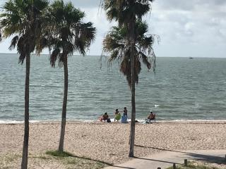 Spectacular Beach View! - Corpus Christi - 1