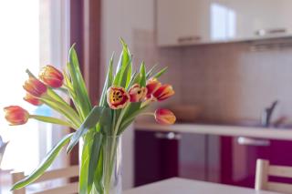 PIOPPETO NORD - Narramondo Villas - 1