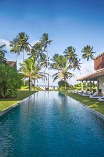The Frangipani Tree by Edwards Collection - Unawatuna - 0
