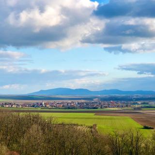 Dům U Slunce a Vína - Olbramovice - 7