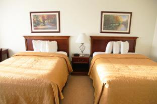 Alex Hotel and Suites - 8