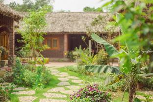 Ninh Binh Palm Homestay - Ninh Binh - 4