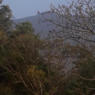 Wayanad Snow Vibes - Vythiri - 4