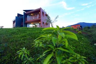 Petals Resorts Wayanad - 9