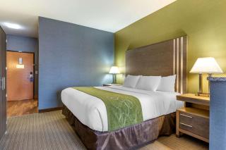 Comfort Suites Southgate-Detroit - Southgate - 5