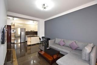 Buzand street 1 bedroom Newly Renovated apartment near Republic Square BU777 - Erevan - 6