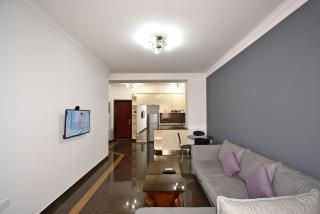 Buzand street 1 bedroom Newly Renovated apartment near Republic Square BU777 - Erevan - 9