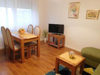 Apartman Ana - Županja - 0