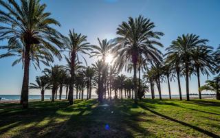 PALM BEACH APARTMENT - Torremolinos - 9