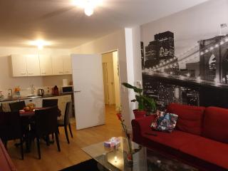 Grand F3 CONFORTABLE 5 mn de Paris et proche Disneyland - Maisons-Alfort - 2