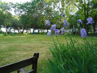 Au bord de Thau - Marseillan - 4