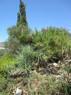 Hotel Belle Vue - Le Lavandou - 2