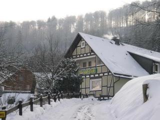 Haus Wald-Eck - Schmallenberg - 5