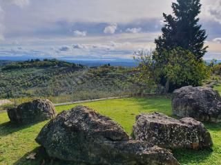 Villa Orizzonte - Castelnuovo Berardenga - 9