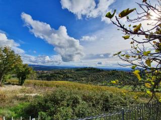 Villa Orizzonte - Castelnuovo Berardenga - 4