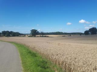 Ferienwohnung Fargau - 9