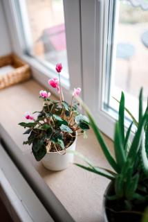 House of the Golden Horse in Hosszúréti Lovas Major - 6