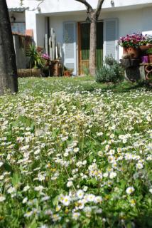 Bed and Breakfast Il Girasole - 5