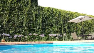 Malva Suite - Salta - 4
