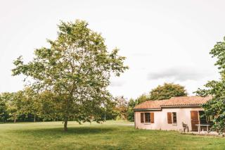 Moncontour 3p 4/6pers Gite - Moncontour - 0
