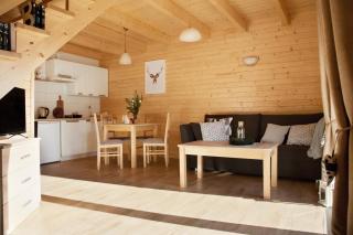 Wiśniewski Apartamenty pod Szczyrkiem - Szczyrk - 8