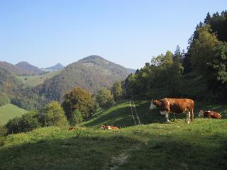 Gast und Hof Spittel - Langenbruck - 2