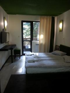 RILA 6ATO Hotel & Restaurant - Panichishte - 9