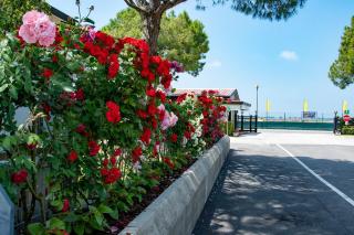 Camping Village Miramare - Cavallino-Treporti - 2