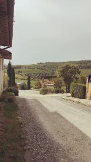 Bacco a Petroio - Vinci - 7