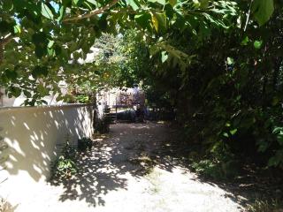 Fanchon des Sablons - Sarrians - 3