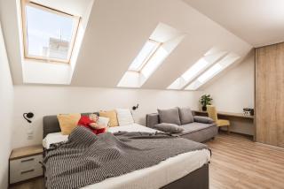 FLEXIHOME SK - Komenskeho - private parking spot - ultra modern and stylish - Košice - 8
