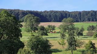 Ferienhof Knoll - Lindenfels - 8