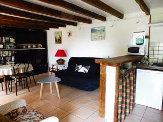 Gîte des Cantines - 1