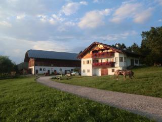 Gastreinhof - 8