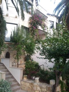 Apartments Villa Domus Marini - Hvar - 6