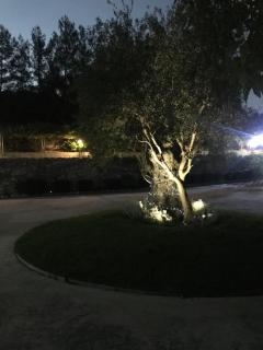 Agia Mavri House - Koilani - 6