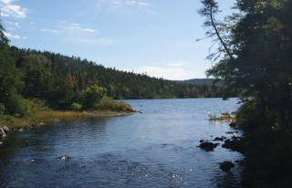 Princehaven Campground - 5