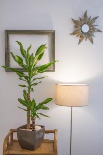 Porto City Cottage in Ribeira neighborhood - Porto - 3