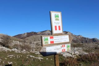 coreno luxury - Ausonia - 8