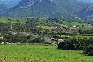 Apartment Nuraghe, barrierefrei, auf Olivenhain - Gonnesa - 5