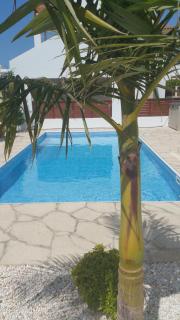 Modern villa, 4 bedrooms, private pool, close to Coral bay strip - Peyia - 6