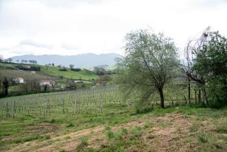 Casale Godenza - Matelica - 8