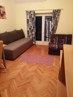 Apartman Zlatibor Dimitrije - 6