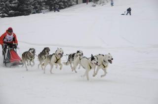 Apartmán Donovaly, Panorama - 5