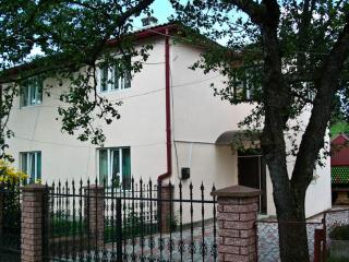 Хостел в Карпатах - Yasinia - 0