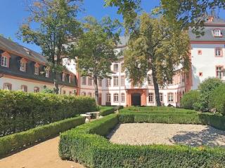 Osteiner Hof by The Apartment Suite - Magonza - 3