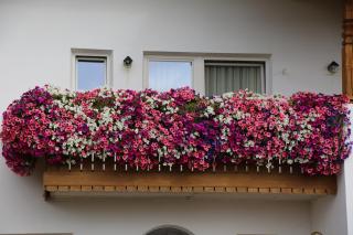 Gasthof St. Ulrich - Meltina - 8