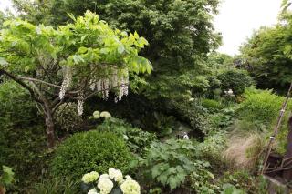Maison Au Jardin - Biscarrosse - 4