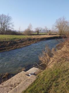 La Tanière - Sorcy-Saint-Martin - 8