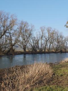 La Tanière - Sorcy-Saint-Martin - 4